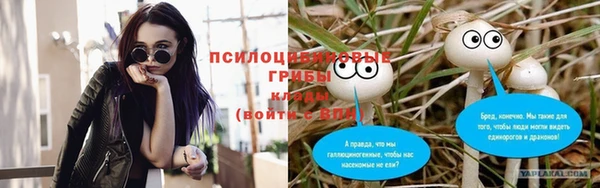таблы Богородск