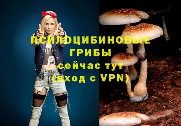 apvp Богородицк