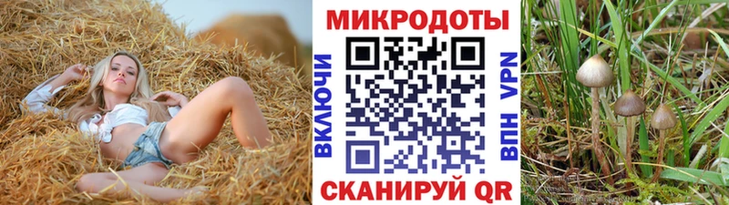 Псилоцибиновые грибы Cubensis хочу Великий Устюг